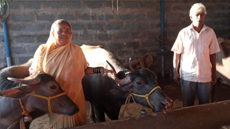 ರೈತರ ನೋವನ್ನು ರೈತರೇ ಅರ್ಥ ಮಾಡಿಕೊಳ್ತಾರೆ! 15 ದಿನ ಕಳೆದು ಹೋಗಿದ್ದ 3 ಎಮ್ಮೆಗಳನ್ನು ಸಾಕಿ ಸಲಹಿದ್ದು ಯಾರು?