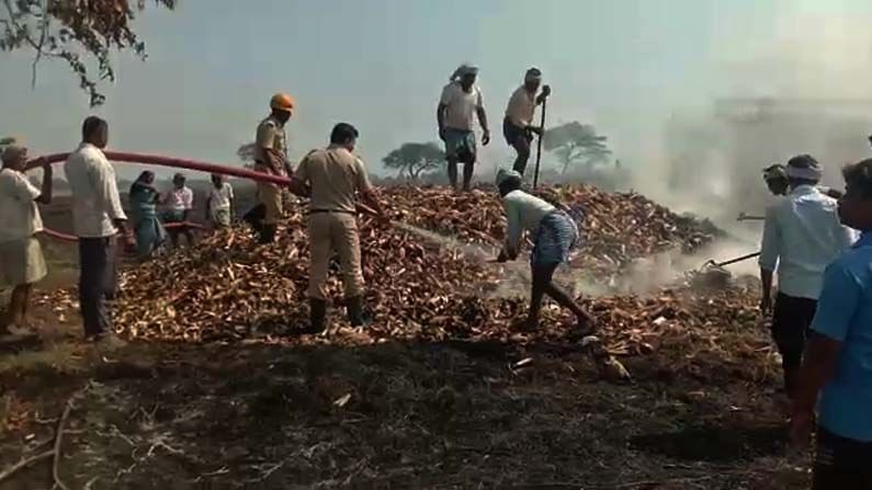 ಬೆಂಕಿ ತಗುಲಿ ಲಕ್ಷಾಂತರ ಮೌಲ್ಯದ ಮೆಕ್ಕೆಜೋಳ ನಾಶ