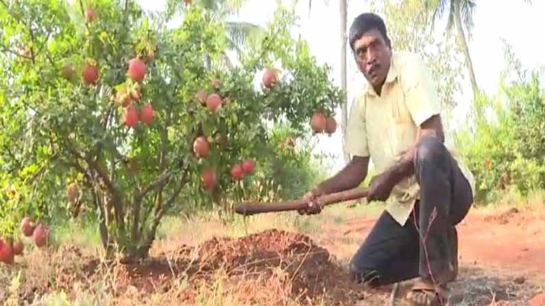 ಒಂದೇ ಜೀವನ-ಮೂರು ಬದುಕು! ಈ ‘‘ಕೃಷಿ ಯೋಧ’’ನ ಸಾಧನೆ ಎಲ್ಲರಿಗೂ ಮಾದರಿ..