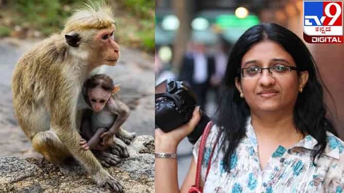 Motherhood: ನಾನೆಂಬ ಪರಿಮಳದ ಹಾದಿಯಲಿ; ಕ್ಷೀರಪಥದೊಳಗಿನ ಚೈತ್ರಗಾನ