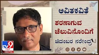 Japan Earthquake: ಜಪಾನ್​ನಲ್ಲಿ 7.1 ತೀವ್ರತೆಯ ಭೂಕಂಪ: ಸುನಾಮಿ ಮುನ್ಸೂಚನೆ ಇಲ್ಲ ಎಂದ ಅಧಿಕಾರಿಗಳು