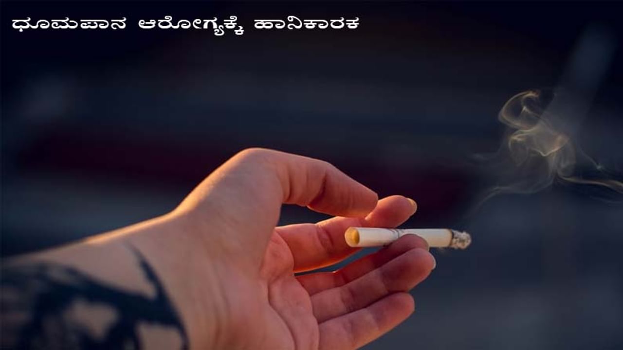 ಸಿಗರೇಟ್​ ಸೇದುವುದು ಚಟವಾಗಿ ಮಾರ್ಪಟ್ಟು ಅದರಿಂದ ಹೊರಬರಬೇಕು ಎಂದು ಅನೇಕರು ಪ್ರಯತ್ನ ಮಾಡುತ್ತಿರುತ್ತಾರೆ. ಆದರೆ, ಇದರಲ್ಲಿ ಯಶಸ್ಸು ಕಾಣುವವರು ಕೆಲವರು ಮಾತ್ರ. ಕೆಲವರು ಸಿಗರೇಟ್​ ಬಿಡಲಾಗದಿದ್ದರೂ ಸೇದುವ ಪ್ರಮಾಣವನ್ನು ಕಡಿಮೆ ಮಾಡಿರುತ್ತಾರೆ. ಸಿಗರೇಟ್​ ಸೇದುವುದರಿಂದ ದೇಹಕ್ಕೆ ಸೇರುವ ನಿಕೋಟಿನ್​ ಅಂಶವನ್ನು ತೆಗೆದು ಹಾಕಲು ಕೆಲ ಆಹಾರಗಳು ಸಹಾಯಕಾರಿ ಎನ್ನುವ ವಿಚಾರ ನಿಮಗೆ ಗೊತ್ತಿದೆಯೇ? ಕೆಲ ಆಹಾರಗಳು ದೇಹದಲ್ಲಿರುವ ನಿಕೋಟಿನ್​ ಅಂಶಗಳನ್ನು ತೆಗೆದು ಹಾಕುತ್ತದೆ. ಅಲ್ಲದೆ, ಸಿಗರೇಟ್​ನಿಂದ ದೇಹಕ್ಕೆ ಆದ ತೊಂದರೆಯನ್ನು ಕಡಿಮೆ ಮಾಡುತ್ತವೆ. ಹಾಗಾದರೆ, ಯಾವುದು ಆ ಆಹಾರಗಳು? ಇಲ್ಲಿದೆ ಮಾಹಿತಿ.