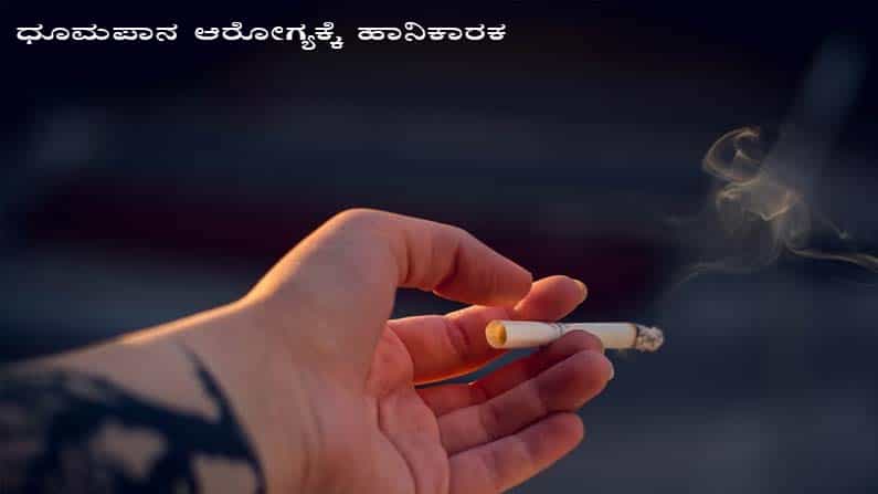ಸಿಗರೇಟ್ ಸೇದುವುದು ಚಟವಾಗಿ ಮಾರ್ಪಟ್ಟು ಅದರಿಂದ ಹೊರಬರಬೇಕು ಎಂದು ಅನೇಕರು ಪ್ರಯತ್ನ ಮಾಡುತ್ತಿರುತ್ತಾರೆ. ಆದರೆ, ಇದರಲ್ಲಿ ಯಶಸ್ಸು ಕಾಣುವವರು ಕೆಲವರು ಮಾತ್ರ. ಕೆಲವರು ಸಿಗರೇಟ್ ಬಿಡಲಾಗದಿದ್ದರೂ ಸೇದುವ ಪ್ರಮಾಣವನ್ನು ಕಡಿಮೆ ಮಾಡಿರುತ್ತಾರೆ. ಸಿಗರೇಟ್ ಸೇದುವುದರಿಂದ ದೇಹಕ್ಕೆ ಸೇರುವ ನಿಕೋಟಿನ್ ಅಂಶವನ್ನು ತೆಗೆದು ಹಾಕಲು ಕೆಲ ಆಹಾರಗಳು ಸಹಾಯಕಾರಿ ಎನ್ನುವ ವಿಚಾರ ನಿಮಗೆ ಗೊತ್ತಿದೆಯೇ? ಕೆಲ ಆಹಾರಗಳು ದೇಹದಲ್ಲಿರುವ ನಿಕೋಟಿನ್ ಅಂಶಗಳನ್ನು ತೆಗೆದು ಹಾಕುತ್ತದೆ. ಅಲ್ಲದೆ, ಸಿಗರೇಟ್ನಿಂದ ದೇಹಕ್ಕೆ ಆದ ತೊಂದರೆಯನ್ನು ಕಡಿಮೆ ಮಾಡುತ್ತವೆ. ಹಾಗಾದರೆ, ಯಾವುದು ಆ ಆಹಾರಗಳು? ಇಲ್ಲಿದೆ ಮಾಹಿತಿ.