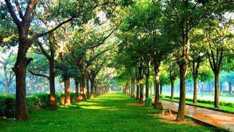 Cubbon Park: ಇನ್ನಷ್ಟು ಸುಧಾರಣೆಯಾಗಲಿ ಕಬ್ಬನ್​ ಪಾರ್ಕ್​; ಸಾರ್ವಜನಿಕರೇ ನೀಡಿದ ಸಲಹೆಗಳು ಹೀಗಿವೆ..