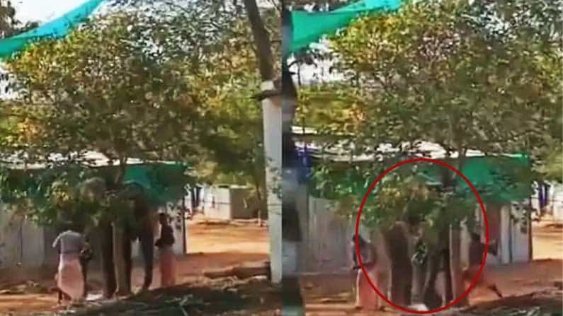 Caught on Camera: ದೇವಸ್ಥಾನದ ಆನೆಗೆ ಮನಬಂದಂತೆ ಥಳಿಸಿದ ಮಾವುತರು, ಮನಕಲಕುವ ವಿಡಿಯೋ ವೈರಲ್ Caught on Camera: ದೇವಸ್ಥಾನದ ಆನೆಗೆ ಮನಬಂದಂತೆ ಥಳಿಸಿದ ಮಾವುತರು, ಮನಕಲಕುವ ವಿಡಿಯೋ ವೈರಲ್