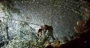 Horse Rescued From Well