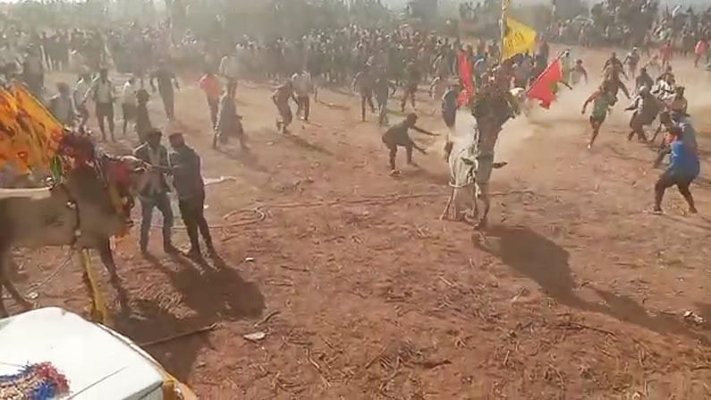 Jallikattu: ಜಲ್ಲಿಕಟ್ಟು ಹೋರಿಗೆ ಕಟ್ಟಿದ್ದ ಹಗ್ಗ ವ್ಯಕ್ತಿಯ ಕಾಲಿಗೆ ಸಿಲುಕಿ ಕಿಲೋಮೀಟರ್​ಗಟ್ಟಲೆ ಎಳೆದೊಯ್ದಿತು; ವ್ಯಕ್ತಿ ಚಿಂತಾಜನಕ