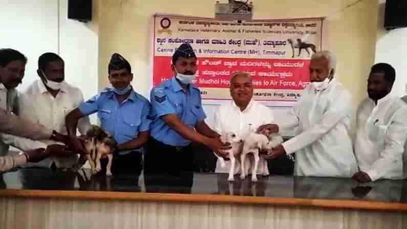 Mudhol Hound joins IAF: ಭಾರತೀಯ ವಾಯುಸೇನೆ ಸೇರಿದ ಮುಧೋಳ ಶ್ವಾನ