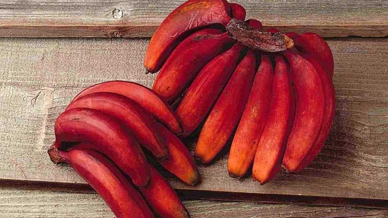 Red Banana: ಕಣ್ಣಿಗೆ ತಂಪು ಕೆಂಪು ಬಾಳೆಹಣ್ಣು, ರಕ್ತದೊತ್ತಡ ನಿವಾರಣೆ, ಜೀರ್ಣಕ್ರಿಯೆಗೂ ಸಹಕಾರಿ