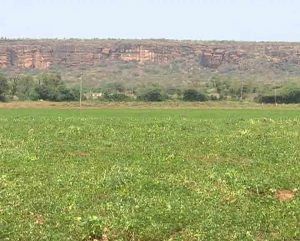 SIDDARAMAIAH FARMER 1