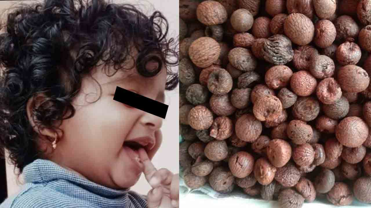 ಶಿವಮೊಗ್ಗ: ಆಟವಾಡುತ್ತಿದ್ದಾಗ ಅಡಿಕೆ ನುಂಗಿ 1 ವರ್ಷದ ಮಗು ಸಾವು ಶಿವಮೊಗ್ಗ: ಆಟವಾಡುತ್ತಿದ್ದಾಗ ಅಡಿಕೆ ನುಂಗಿ 1 ವರ್ಷದ ಮಗು ಸಾವು