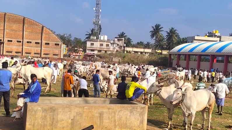 ಮುಚ್ಚು ಹರಾಜು ಮಾರುಕಟ್ಟೆ: ನಿರ್ಮಾಣವಾಗಿ ಒಂದು ವರ್ಷವಾದರೂ ಸಿಗದ ಉದ್ಘಾಟನಾ ಭಾಗ್ಯ