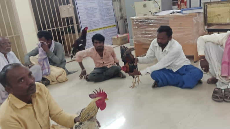ಯಾದಗಿರಿ: ಗ್ರಾಮದಲ್ಲಿ ಕೋಳಿ ಪಂದ್ಯ - 10 ಜನರ ಬಂಧನ, ಕೋಳಿಗಳೂ ಪೊಲೀಸ್ ವಶಕ್ಕೆ