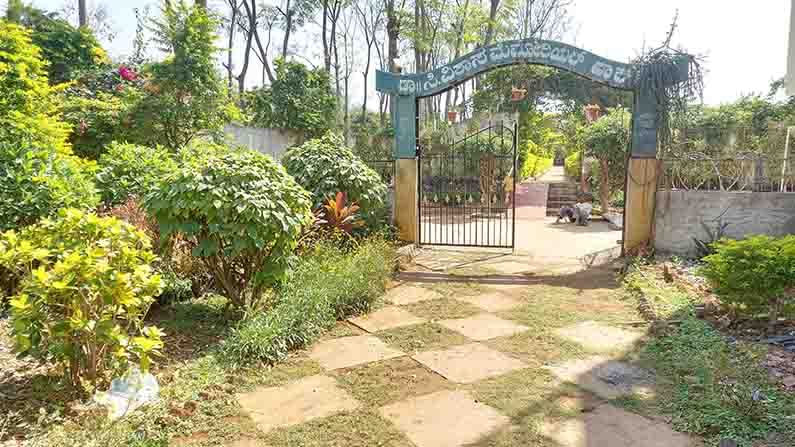 ಮಗ ವೈದ್ಯನಾಗಬೇಕೆಂದು ಕನಸು ಕಂಡಿದ್ದ ತಂದೆ ಗಿಡ ನೆಟ್ಟು ಪರಿಸರ ಸೇವೆ ಮಾಡಿದ ಅಪರೂಪದ ಕಥೆಯಿದು ಮಗ ವೈದ್ಯನಾಗಬೇಕೆಂದು ಕನಸು ಕಂಡಿದ್ದ ತಂದೆ ಗಿಡ ನೆಟ್ಟು ಪರಿಸರ ಸೇವೆ ಮಾಡಿದ ಅಪರೂಪದ ಕಥೆಯಿದು
