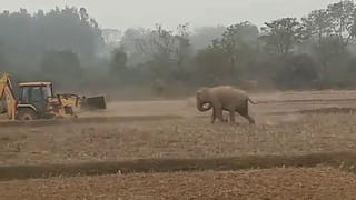 ಕಾರವಾರ: ಕತ್ತು ಹಿಸುಕಿ ಪತಿಯಿಂದಲೇ ಪತ್ನಿಯ ಕೊಲೆ