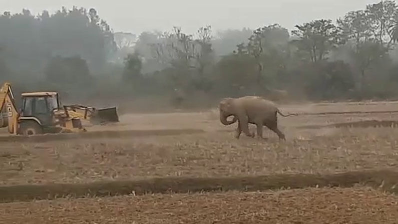 ವನ್ಯಪ್ರಾಣಿಗಳ ದಾಳಿಗೆ ಪರಿಹಾರ ಮೊತ್ತ 75 ಸಾವಿರ ರೂ.ಗೆ ಏರಿಸಿದ ಕರ್ನಾಟಕ ಸರ್ಕಾರ ವನ್ಯಪ್ರಾಣಿಗಳ ದಾಳಿಗೆ ಪರಿಹಾರ ಮೊತ್ತ 75 ಸಾವಿರ ರೂ.ಗೆ ಏರಿಸಿದ ಕರ್ನಾಟಕ ಸರ್ಕಾರ