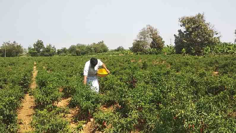 farmer yadagiri 