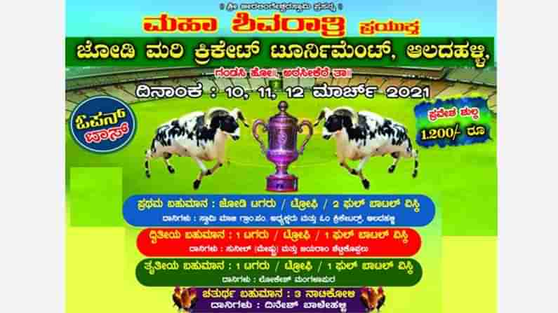 ಮತ್ತೊಂದು ವಿಭಿನ್ನ ಕ್ರಿಕೆಟ್​! ಈ ಬಾರಿ ಹಾಸನದಲ್ಲಿ: ಗೆದ್ದವರಿಗೆ ಜೋಡಿ ಟಗರು, 2 ಬಾಟಲಿ ವಿಸ್ಕಿ.. ಬೇಗ ನೀವೂ ತಂಡ ಕಟ್ಟಿ