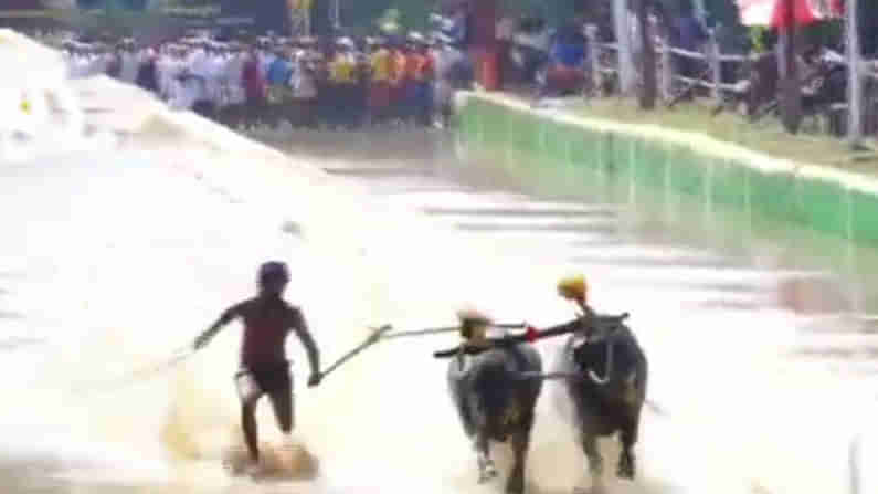 Kambala Record ಕಂಬಳದಲ್ಲಿ ಹೊಸ ದಾಖಲೆ: ಶ್ರೀನಿವಾಸ್ ಗೌಡರ ದಾಖಲೆ ಮುರಿದ ಬೈಂದೂರು ವಿಶ್ವನಾಥ್​