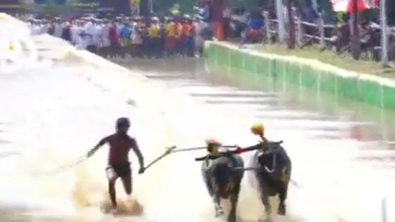 Kambala Record ಕಂಬಳದಲ್ಲಿ ಹೊಸ ದಾಖಲೆ: ಶ್ರೀನಿವಾಸ್ ಗೌಡರ ದಾಖಲೆ ಮುರಿದ ಬೈಂದೂರು ವಿಶ್ವನಾಥ್​