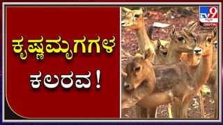 ಮುಂಬೈನಲ್ಲಿ ಐಷಾರಾಮಿ ಫ್ಲಾಟ್​ ಖರೀದಿಸಿದ್ದಾರಂತೆ ನಟಿ ರಶ್ಮಿಕಾ ಮಂದಣ್ಣ !