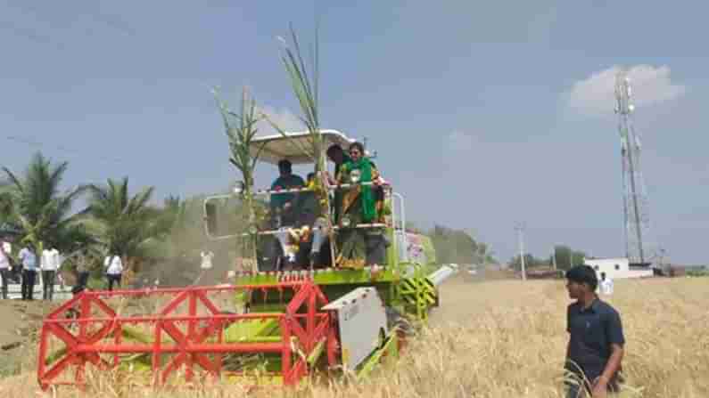 ವಿಜಯಪುರದಲ್ಲಿ ರೈತರೊಂದಿಗೆ ಒಂದು ದಿನ ಕಾರ್ಯಕ್ರಮ; ಸ್ವತಃ ಗೋದಿ ಕಟಾವು ಮಾಡಿ ಯಂತ್ರ ಚಲಾಯಿಸಿದ ಸಚಿವ ಬಿ.ಸಿ ಪಾಟೀಲ್