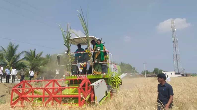 ವಿಜಯಪುರದಲ್ಲಿ ರೈತರೊಂದಿಗೆ ಒಂದು ದಿನ ಕಾರ್ಯಕ್ರಮ; ಸ್ವತಃ ಗೋದಿ ಕಟಾವು ಮಾಡಿ ಯಂತ್ರ ಚಲಾಯಿಸಿದ ಸಚಿವ ಬಿ.ಸಿ ಪಾಟೀಲ್