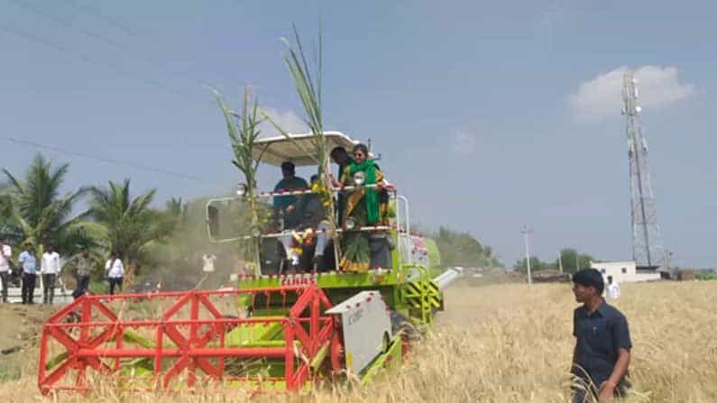ವಿಜಯಪುರದಲ್ಲಿ ರೈತರೊಂದಿಗೆ ಒಂದು ದಿನ ಕಾರ್ಯಕ್ರಮ; ಸ್ವತಃ ಗೋದಿ ಕಟಾವು ಮಾಡಿ ಯಂತ್ರ ಚಲಾಯಿಸಿದ ಸಚಿವ ಬಿ.ಸಿ ಪಾಟೀಲ್ ವಿಜಯಪುರದಲ್ಲಿ ರೈತರೊಂದಿಗೆ ಒಂದು ದಿನ ಕಾರ್ಯಕ್ರಮ; ಸ್ವತಃ ಗೋದಿ ಕಟಾವು ಮಾಡಿ ಯಂತ್ರ ಚಲಾಯಿಸಿದ ಸಚಿವ ಬಿ.ಸಿ ಪಾಟೀಲ್