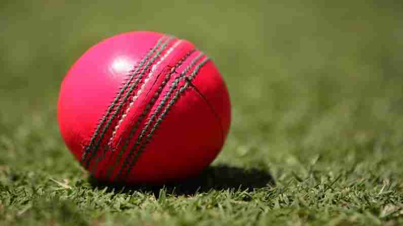 Pink Ball Test: ಹಗಲು-ರಾತ್ರಿ ಟೆಸ್ಟ್​ ಪಂದ್ಯಕ್ಕೆ ಪಿಂಕ್​ ಬಾಲ್ ಬಳಕೆ ಏಕೆ? ಏನಿದರ ಮರ್ಮ?