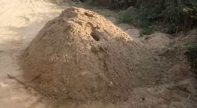 Sand Mafia: ತುಂಗಭದ್ರಾ ನದಿ ತೀರದಲ್ಲಿ ಅಕ್ರಮ ಮರಳು ಸಾಗಾಟ; ಅಧಿಕಾರಿಗಳ ನಿರ್ಲಕ್ಷ್ಯಕ್ಕೆ ಗ್ರಾಮಸ್ಥರ ಆಕ್ರೋಶ