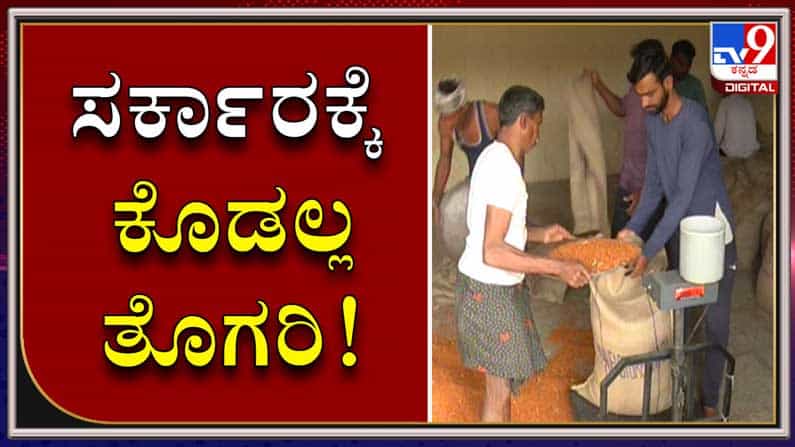 ಬೆಂಬಲ ಬೆಲೆಯಲ್ಲಿ ತೊಗರಿ ಖರೀದಿ ಕೇಂದ್ರ ತೆರೆದಿದ್ದರೂ ಅತ್ತ ಕಡೆ ಸುಳಿಯದ ರೈತರು..!