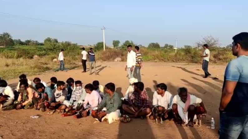 Cockfight: ಯಾದಗಿರಿಯಲ್ಲಿ ಕೋಳಿ ಪಂದ್ಯ ನಡೆಸುತ್ತಿದ್ದ 30 ಮಂದಿ ಅರೆಸ್ಟ್, 22 ಹುಂಜ ಜಪ್ತಿ Cockfight: ಯಾದಗಿರಿಯಲ್ಲಿ ಕೋಳಿ ಪಂದ್ಯ ನಡೆಸುತ್ತಿದ್ದ 30 ಮಂದಿ ಅರೆಸ್ಟ್, 22 ಹುಂಜ ಜಪ್ತಿ