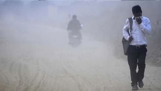 Australia Beach: ಸಮುದ್ರಕ್ಕೆ ಈಜಲು ಹೋದವನಿಗೆ ಆಕ್ಟೋಪಸ್​ ಜಲಚರಿ ಹೊಡೆದದ್ದು ಈಗ ವೈರಲ್​