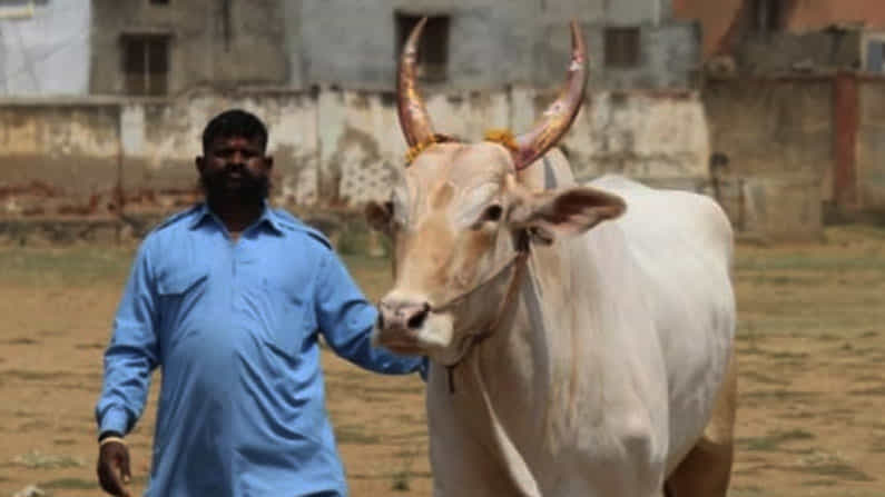 ನಲವತ್ತು ದಿನಗಳಲ್ಲಿ ಎರಡು ಸಾವು: ಹಾವೇರಿ ಅಭಿಮಾನಿಗಳ ಕಣ್ಣೀರು ನಲವತ್ತು ದಿನಗಳಲ್ಲಿ ಎರಡು ಸಾವು: ಹಾವೇರಿ ಅಭಿಮಾನಿಗಳ ಕಣ್ಣೀರು