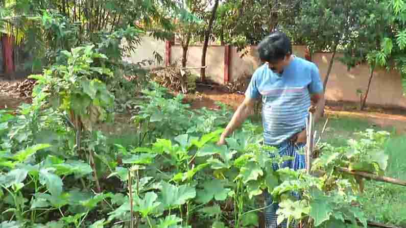 ಉಡುಪಿ ಜಿಲ್ಲಾಧಿಕಾರಿಯ ಕೃಷಿ ಆಸಕ್ತಿ; ಮನೆಯ ಪಕ್ಕದಲ್ಲೇ ತರಕಾರಿ ಬೆಳೆದು ಇತರರಿಗೆ ಮಾದರಿಯಾದ ಜಿ. ಜಗದೀಶ್