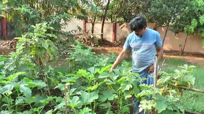 ಉಡುಪಿ ಜಿಲ್ಲಾಧಿಕಾರಿಯ ಕೃಷಿ ಆಸಕ್ತಿ; ಮನೆಯ ಪಕ್ಕದಲ್ಲೇ ತರಕಾರಿ ಬೆಳೆದು ಇತರರಿಗೆ ಮಾದರಿಯಾದ ಜಿ. ಜಗದೀಶ್ ಉಡುಪಿ ಜಿಲ್ಲಾಧಿಕಾರಿಯ ಕೃಷಿ ಆಸಕ್ತಿ; ಮನೆಯ ಪಕ್ಕದಲ್ಲೇ ತರಕಾರಿ ಬೆಳೆದು ಇತರರಿಗೆ ಮಾದರಿಯಾದ ಜಿ. ಜಗದೀಶ್
