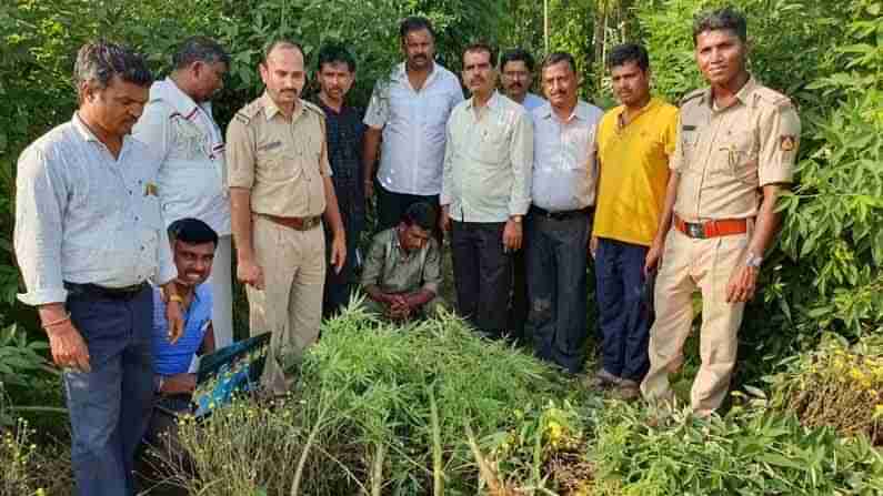 ಆಂಧ್ರದಿಂದ ದಾವಣಗೆರೆಗೆ ಗಾಂಜಾ ಸಪ್ಲೈ; ಅಲರ್ಟ್ ಆದ ಪೊಲೀಸ್ ಪಡೆ, ಎಲ್ಲೆಡೆ ಹದ್ದಿನ ಕಣ್ಣು