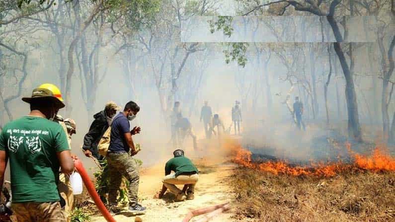 International Day of Forest 2021: ವಿಶ್ವ ಅರಣ್ಯ ದಿನ: ‘ತೆರೆದ ಖಜಾನೆ’ ಕಾಪಾಡುವ ಹೊಣೆ ಹೊತ್ತವರ ಮನದ ಮಾತು International Day of Forest 2021: ವಿಶ್ವ ಅರಣ್ಯ ದಿನ: ‘ತೆರೆದ ಖಜಾನೆ’ ಕಾಪಾಡುವ ಹೊಣೆ ಹೊತ್ತವರ ಮನದ ಮಾತು