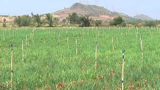 ಬೆಂಗಳೂರಲ್ಲಿ ಸುಪ್ರೀಂಕೋರ್ಟ್ ಪೀಠ ಸ್ಥಾಪನೆಯಾಗಲಿ; ರಾಜ್ಯಸಭಾ ಸದಸ್ಯ ಕೆ.ಸಿ.ರಾಮಮೂರ್ತಿ ಮನವಿ