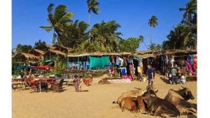 Goa Honey Moon Beach 