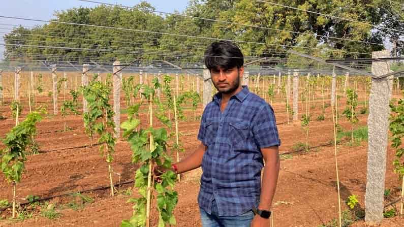 ಲಾಕ್ಡೌನ್ನಲ್ಲಿ ಬಾಳೆ ಬೆಳೆದು 8 ಲಕ್ಷ ನಷ್ಟ; ಛಲ ಬಿಡದೇ ದ್ರಾಕ್ಷಿ ಬೆಳೆದು ಸ್ಪೂರ್ತಿಯಾದ ಯಾದಗಿರಿಯ ಯುವ ರೈತ