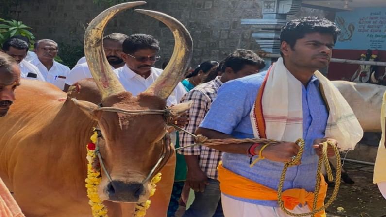 ತಮಿಳುನಾಡು ವಿಧಾನಸಭೆ ಚುನಾವಣೆ: ‘ಕರ್ನಾಟಕದ ಸಿಂಗಂ’ ಅಣ್ಣಾ ಮಲೈ ಸ್ಪರ್ಧಿಸುತ್ತಿರುವ ಕ್ಷೇತ್ರ ಯಾವುದು? ಆ ಕ್ಷೇತ್ರದ ಮಹಿಮೆ ಏನು?