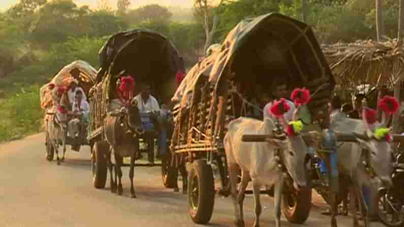 ಚಿತ್ರದುರ್ಗ: ಕಾಡುಗೊಲ್ಲ ಸಮುದಾಯದ ಅಪರೂಪ ಸಾಂಪ್ರದಾಯಿಕ ಆಚರಣೆ ಅನಾವರಣ