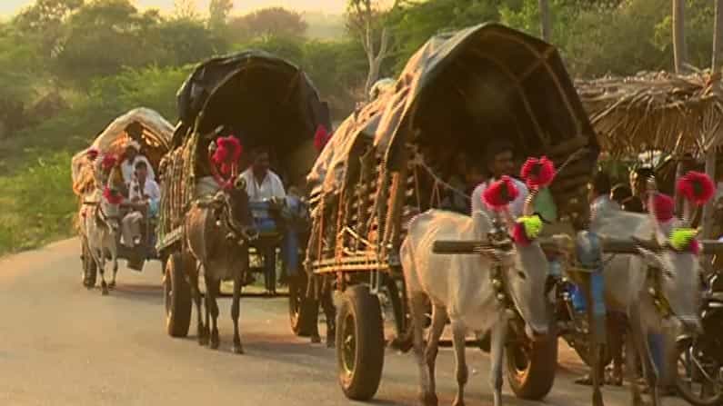 ಚಿತ್ರದುರ್ಗ: ಕಾಡುಗೊಲ್ಲ ಸಮುದಾಯದ ಅಪರೂಪ ಸಾಂಪ್ರದಾಯಿಕ ಆಚರಣೆ ಅನಾವರಣ ಚಿತ್ರದುರ್ಗ: ಕಾಡುಗೊಲ್ಲ ಸಮುದಾಯದ ಅಪರೂಪ ಸಾಂಪ್ರದಾಯಿಕ ಆಚರಣೆ ಅನಾವರಣ
