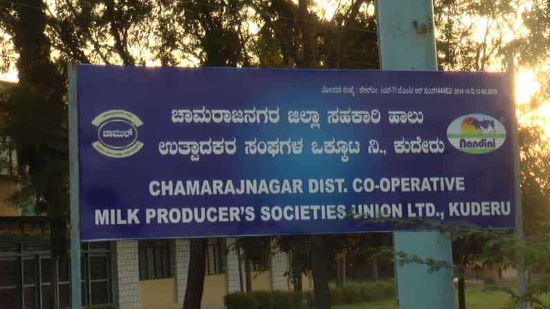 ಚಾಮರಾಜನಗರ ಹಾಲು ಒಕ್ಕೂಟದಲ್ಲಿ ಭ್ರಷ್ಟಾಚಾರ ಆರೋಪ: ಎಚ್ಚೆತ್ತುಕೊಂಡ ಸರ್ಕಾರ ಚಾಮರಾಜನಗರ ಹಾಲು ಒಕ್ಕೂಟದಲ್ಲಿ ಭ್ರಷ್ಟಾಚಾರ ಆರೋಪ: ಎಚ್ಚೆತ್ತುಕೊಂಡ ಸರ್ಕಾರ