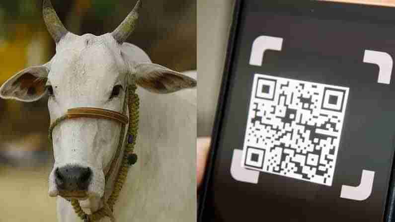 ಆನ್ಲೈನ್ ವಹಿವಾಟು ಸಹವಾಸ ಎಚ್ಚರ !- ಹಸು ಮಾರಲು ಹೋಗಿ 1 ಲಕ್ಷ ರೂಪಾಯಿ ಕಳೆದುಕೊಂಡ ಯುವಕ