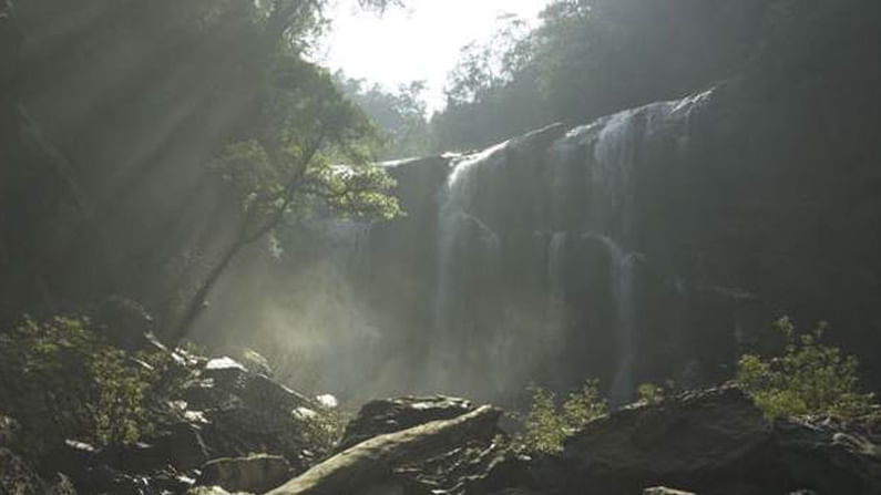 SATODDI FALLS YELLAPUR