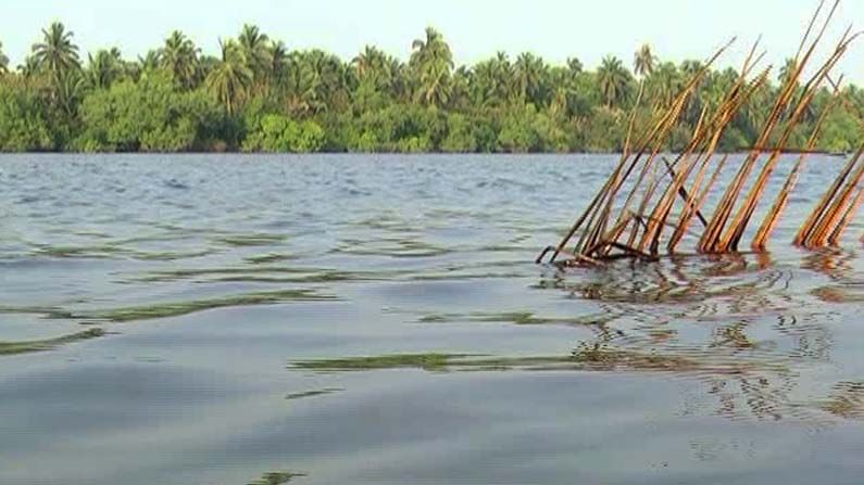 ಉಡುಪಿ ರೈತರ ನೆಮ್ಮದಿ ಕೆಡಿಸಿದ ಉಪ್ಪು ನೀರು