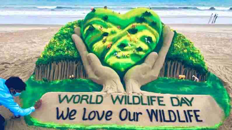 World Wildlife Day 2021: ವಿಶ್ವ ವನ್ಯಜೀವಿ ದಿನದ ಇತಿಹಾಸ ಮತ್ತು ಪ್ರಾಮುಖ್ಯತೆ ಏನು?