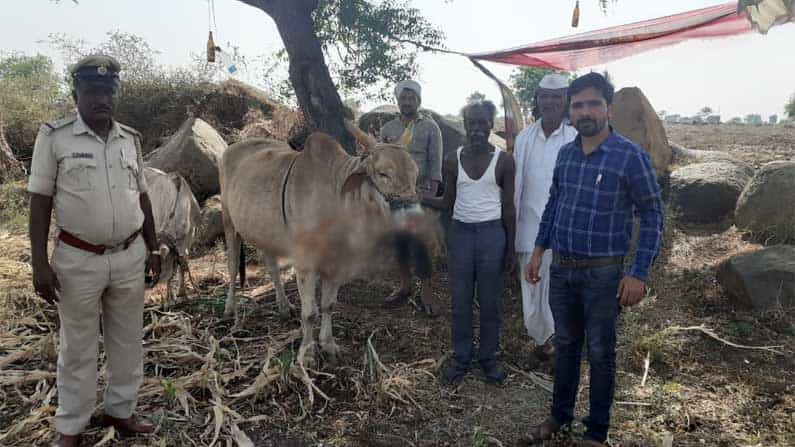 ಹೊತ್ತಿ ಉರಿದ ಕೊಟ್ಟಿಗೆ; ನೋಡನೋಡುತ್ತಲೇ ಸಜೀವ ದಹನವಾದ ಆಕಳು, ಕಲಬುರಗಿಯಲ್ಲಿ ಮನಕಲಕುವ ಘಟನೆ ಹೊತ್ತಿ ಉರಿದ ಕೊಟ್ಟಿಗೆ; ನೋಡನೋಡುತ್ತಲೇ ಸಜೀವ ದಹನವಾದ ಆಕಳು, ಕಲಬುರಗಿಯಲ್ಲಿ ಮನಕಲಕುವ ಘಟನೆ